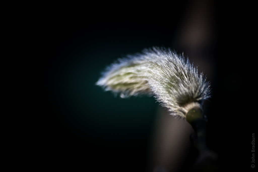 20140315-3128