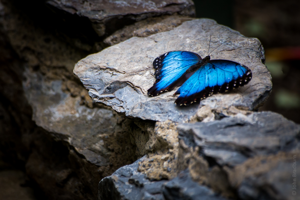 20140824-4594