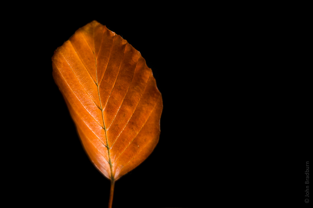 20171110-8353