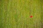 20120812-4271
