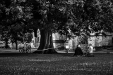 20130803-7326