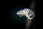 20140315-3128