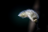 20140315-3128