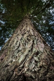 20140503-3691