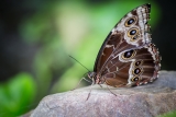 20140824-4605