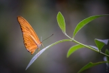20140824-4609