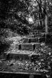 20140921-4784