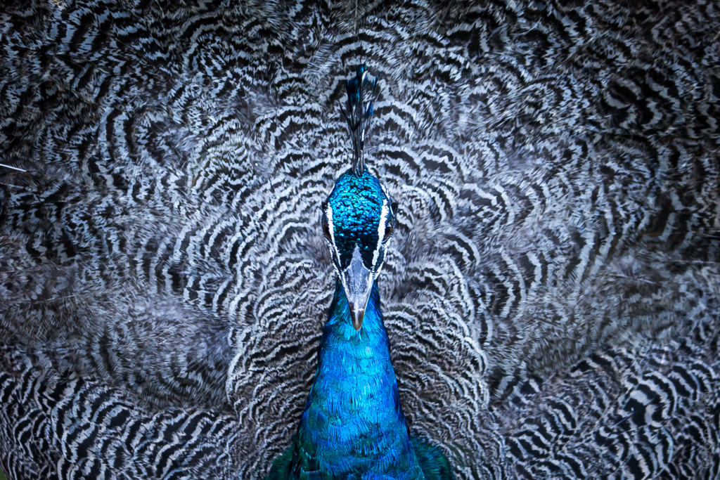 20140315-3172