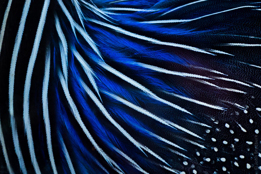 20170827-6002