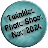 Twinkles Photo Shoot November 2024